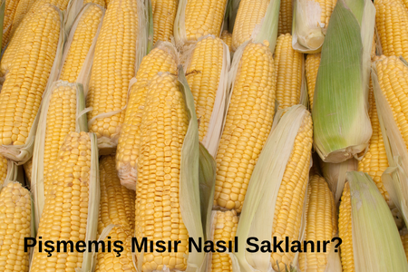 Pişmemiş mısır nasıl saklanır